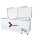 Tủ đông Sanaky Inverter 761 lít VH8699HY3