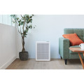 Máy lọc không khí Coway AP-1019C(W)